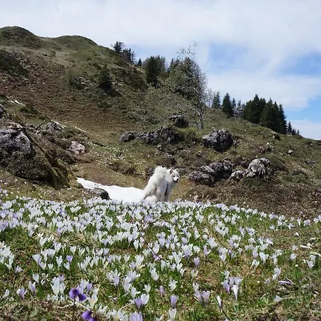 Διαμέρισμα Myapart